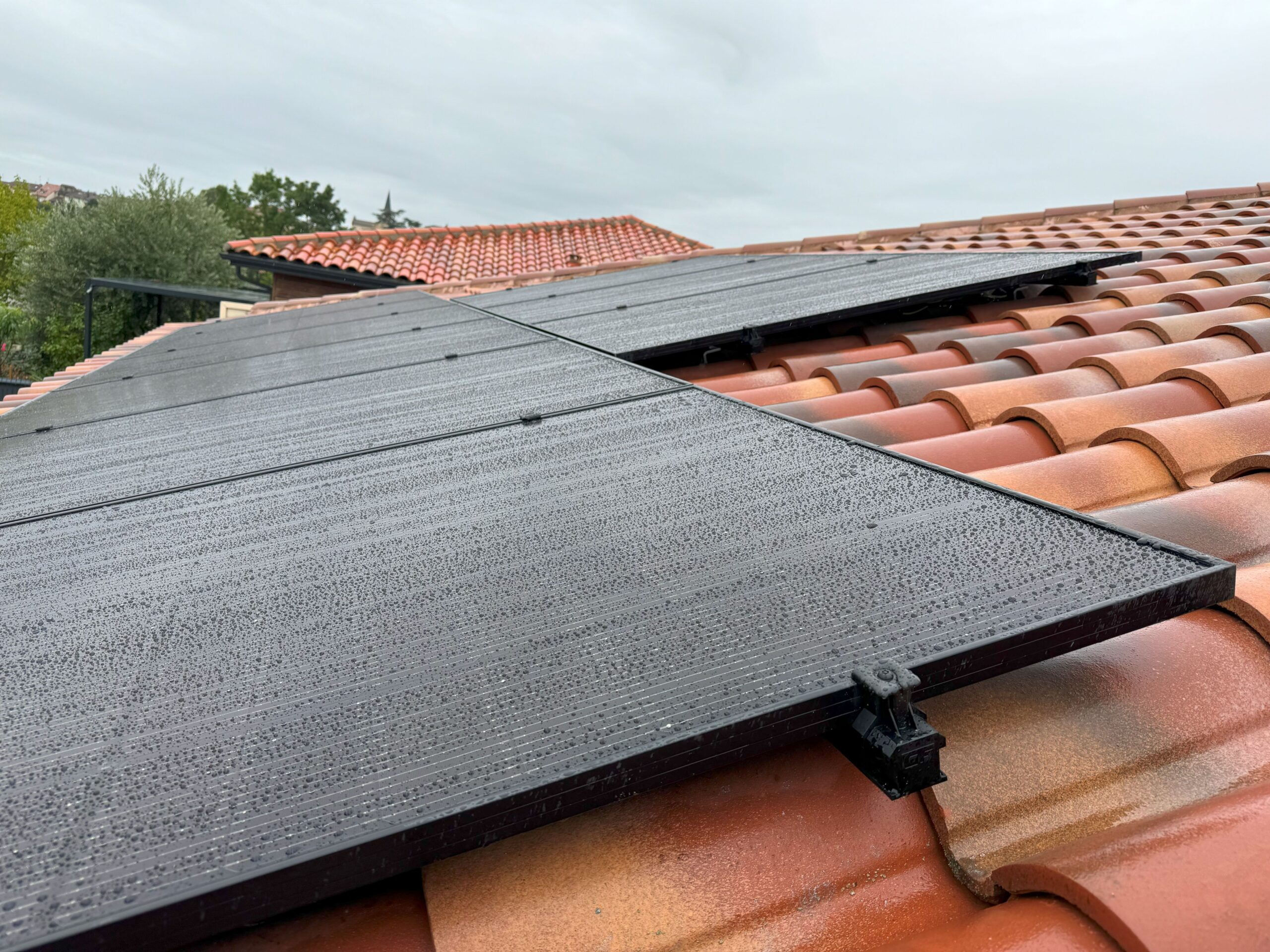 20240904_085908114_iOSjpg