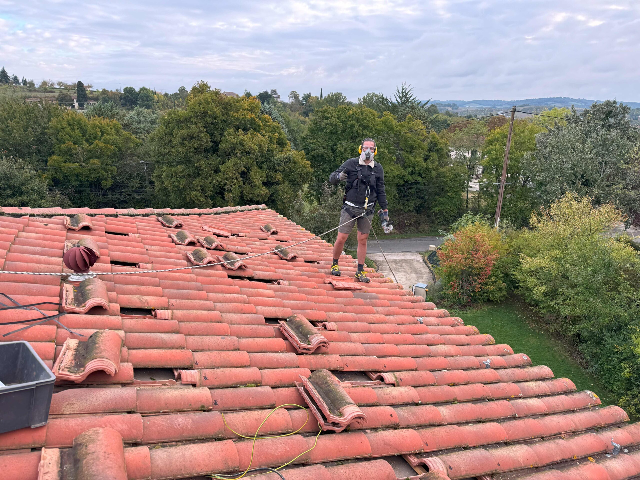 20241003_071531069_iOSjpg