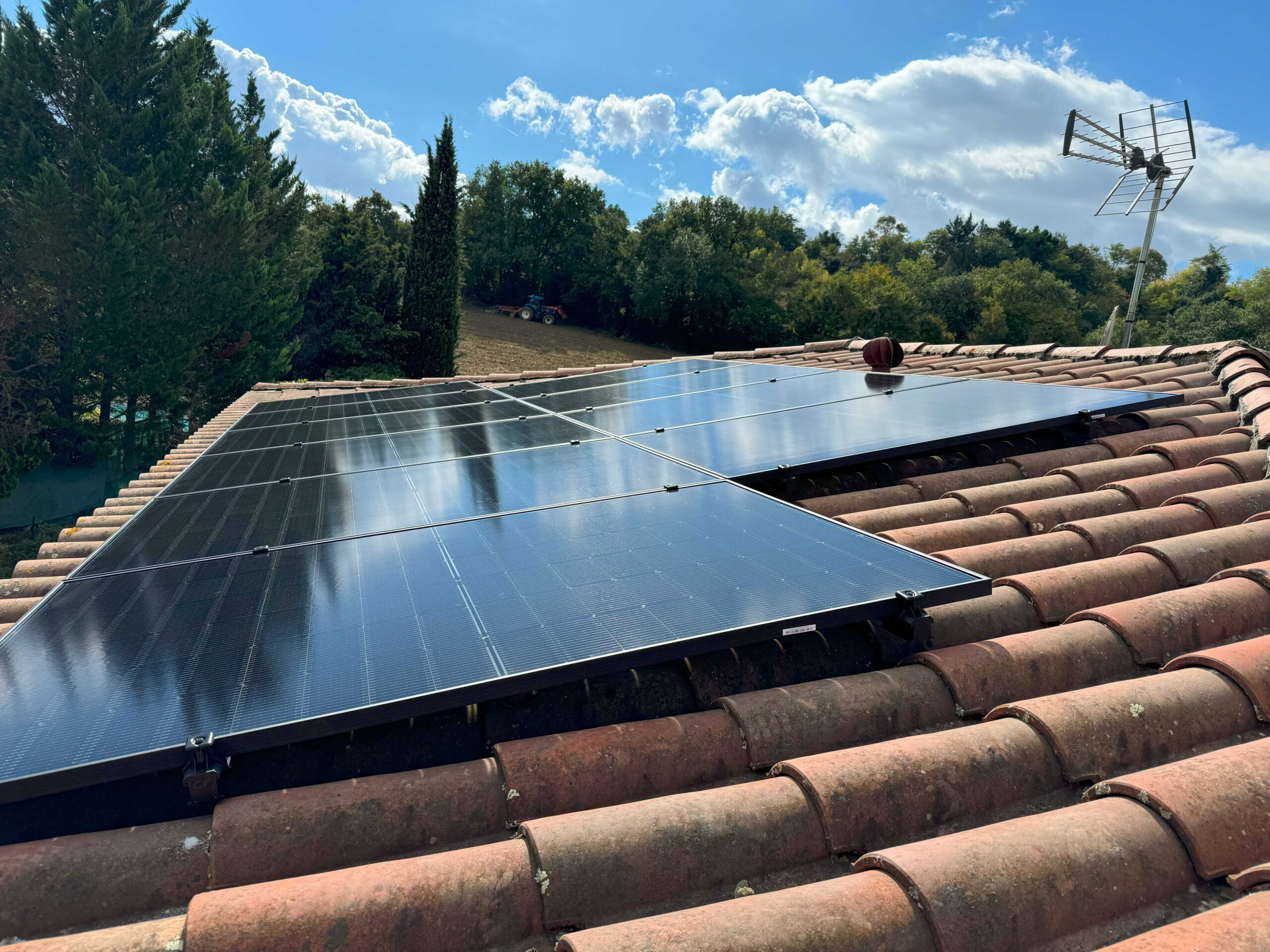 20241003_130016159_iOSjpg