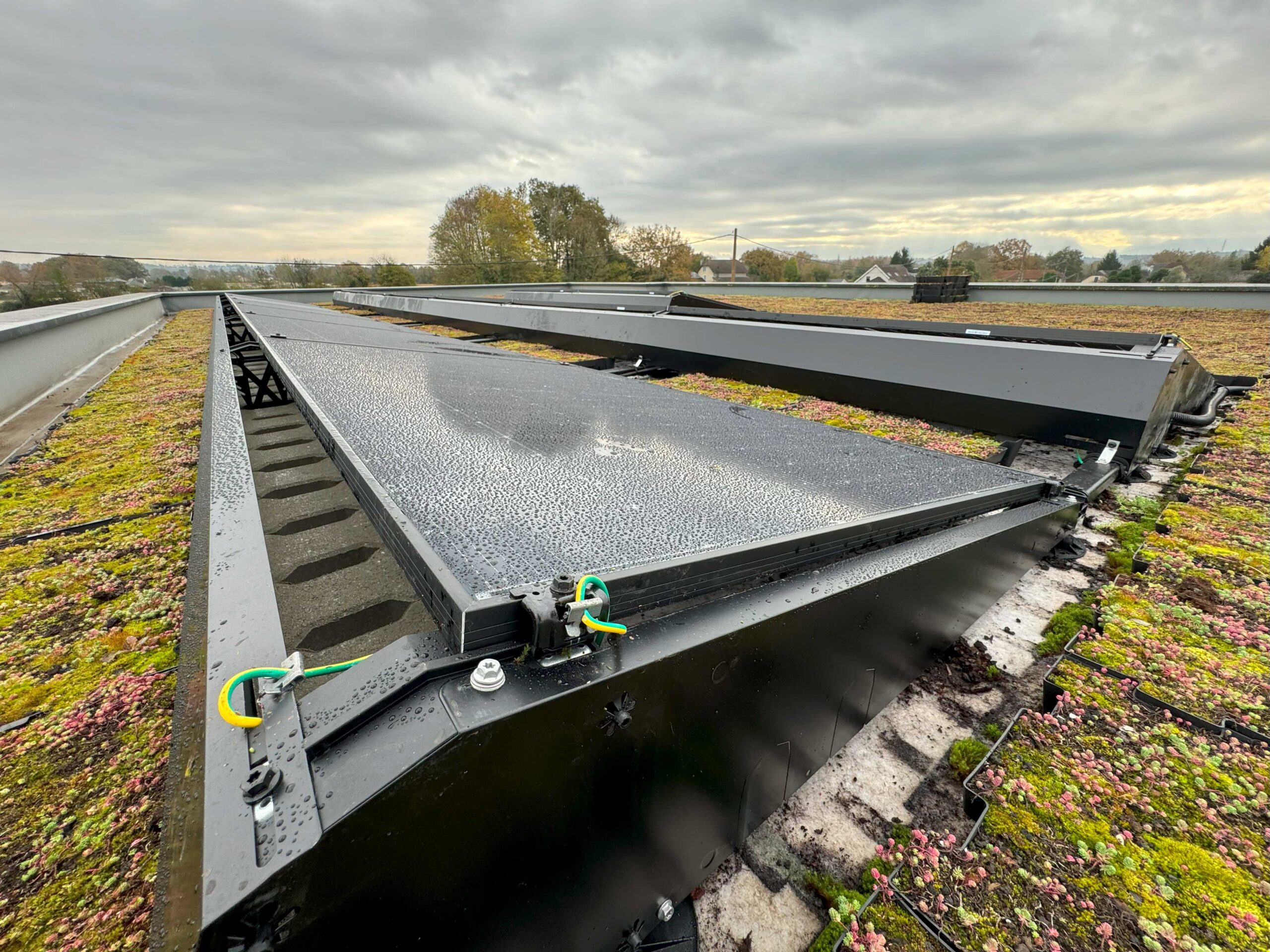 20241119_105055911_iOSjpg