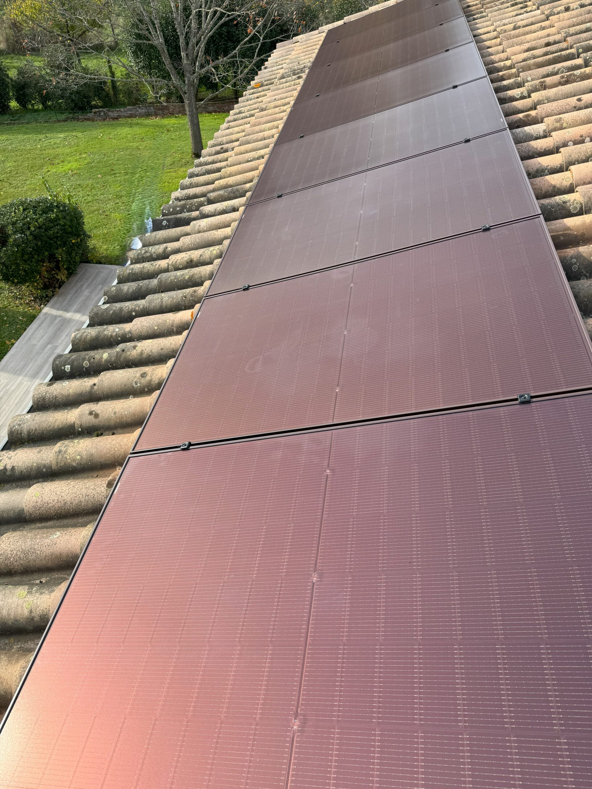 20241126_133011816_iOSjpg